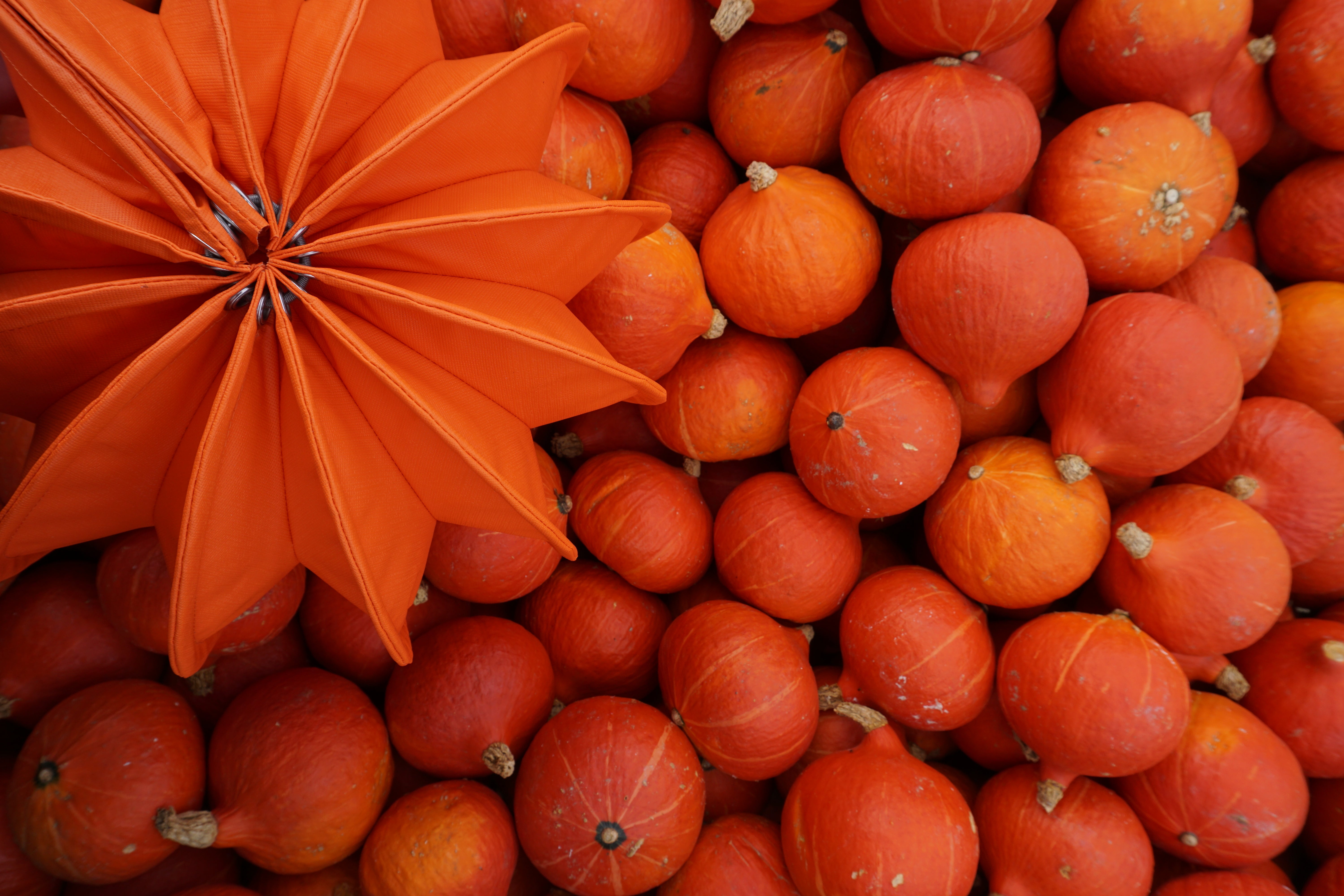 Lampion Gartenlaterne Barlooon / Wetterfester Lampion / Outdoor – verschiedene Größen – Farbe Orange