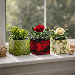 Nachhaltiger Übertopf "BOX" aus Karton mit Innenfolie – perfekt für kleine Pflanzen (9 × 8,5 cm)