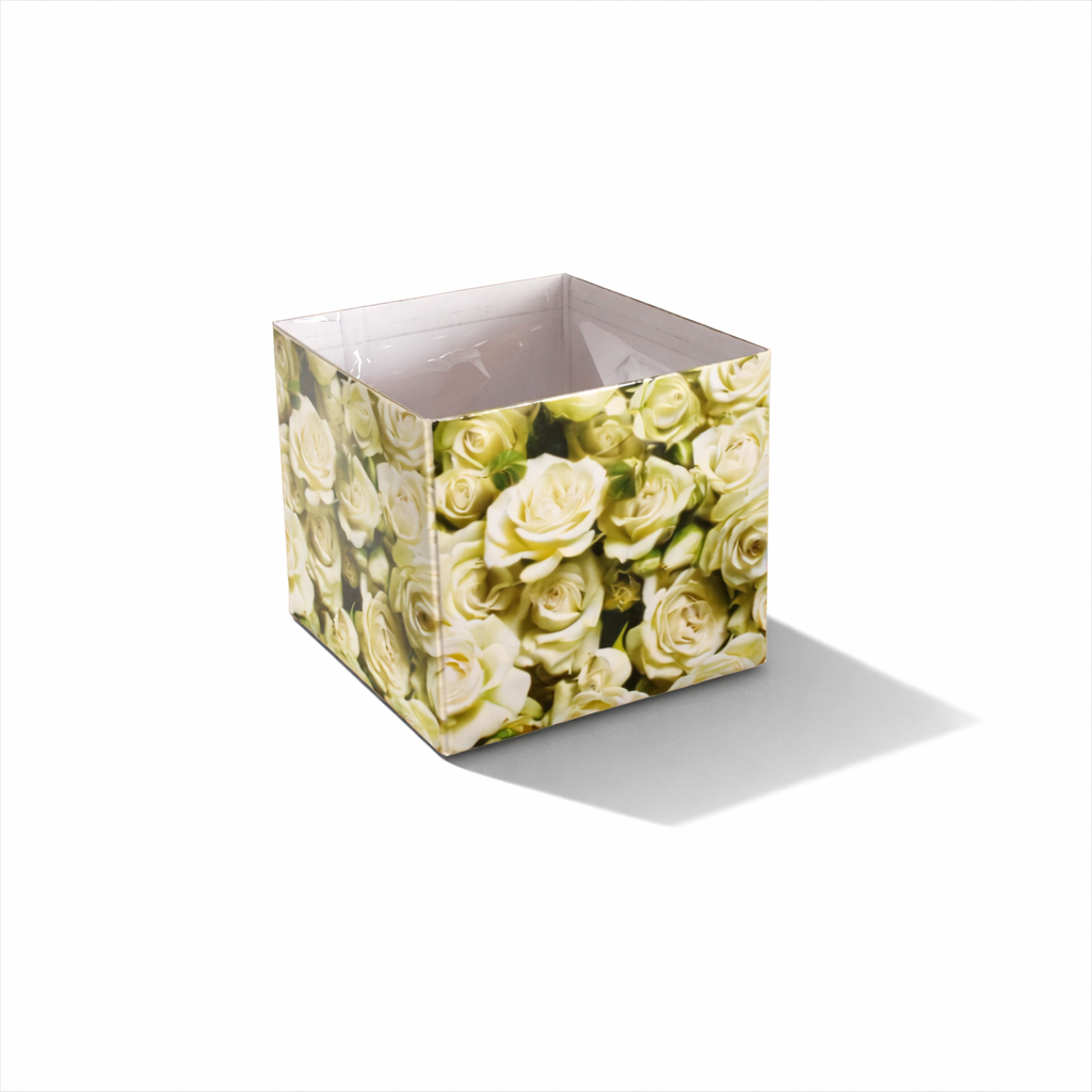 Nachhaltiger Übertopf "BOX" aus Karton mit Innenfolie – perfekt für kleine Pflanzen (9 × 8,5 cm)