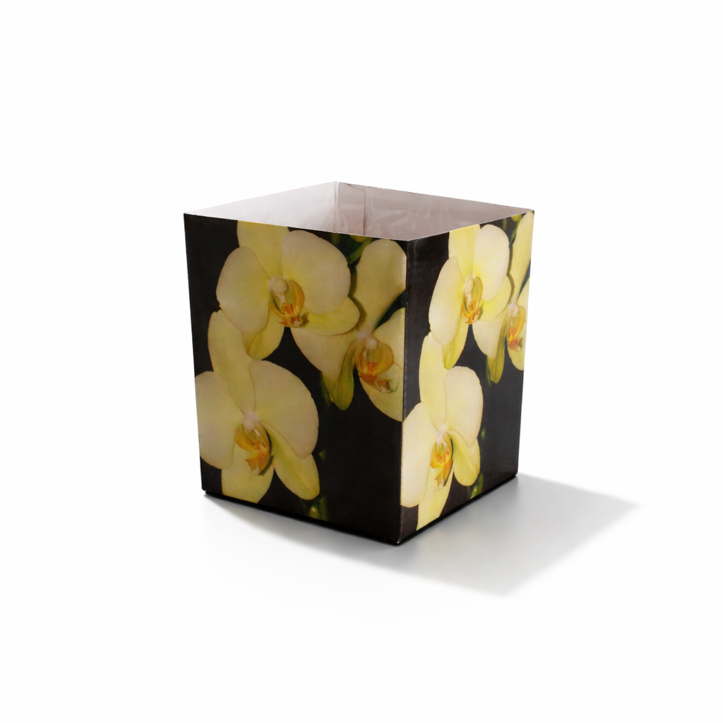 Nachhaltiger Übertopf "Orchideen" BOX aus Karton mit Innenfolie – perfekt für kleine Pflanzen (12 × 14 cm)