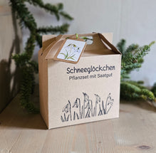 Schneeglöckchen Pflanzset mit Saatgut / Geschenk / zarte Frühlingsboten – 14 x 15  x 7 cm – gefertigt von Menschen mit Behinderung