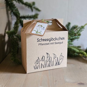 Schneeglöckchen Pflanzset mit Saatgut / Geschenk / zarte Frühlingsboten – 14 x 15  x 7 cm – gefertigt von Menschen mit Behinderung