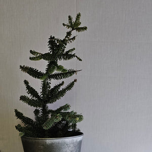 Übertopf / Topf / Vase "Granna" Metall cultus / Weihnachten – silber-weiss – verschiedene Masse