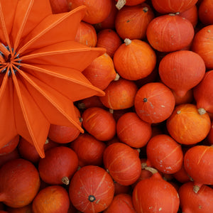 Lampion Gartenlaterne Barlooon / Wetterfester Lampion / Outdoor – verschiedene Größen – Farbe Orange