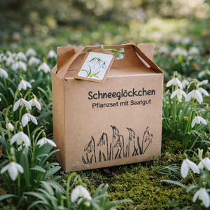 Schneeglöckchen Pflanzset – Zarte Frühlingsboten mit Saatgut – Liebevolles Geschenk – 14×15×7 cm – Handarbeit mit sozialem Mehrwert