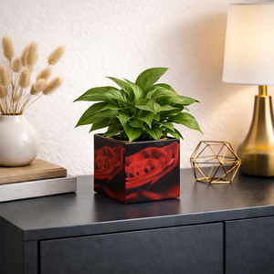 Nachhaltiger Übertopf "BOX" aus Karton mit Innenfolie – perfekt für kleine Pflanzen (9 × 8,5 cm)