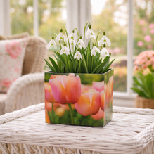 Nachhaltiger Übertopf "Tulpe" BOX aus Karton mit Innenfolie – perfekt für kleine Pflanzen (11 × 10 cm)