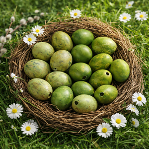 Set Ostereier Wachteleier Grün-Mix – 60 Stück – 3 cm – Natürliche Osterdeko