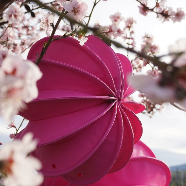 Lampion Gartenlaterne Barlooon / Wetterfester Lampion / Outdoor – verschiedene Größen – Farbe Pink